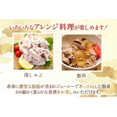 宮崎県産 豚バラ しゃぶしゃぶ用 300g 8p 計 2.4kg セット(日向市)