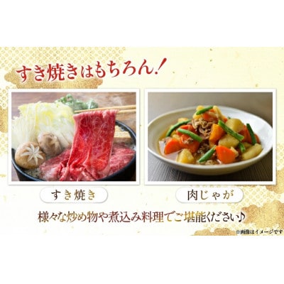 宮崎県産 黒毛和牛 肩ロース すき焼き用 切り落とし 250g 12p 計3kg セット(日向市)