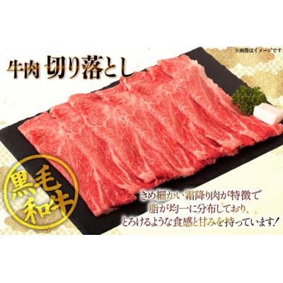 宮崎県産 黒毛和牛 赤身 スライス 切り落とし 250g 6p 計1.5kg セット(日向市)