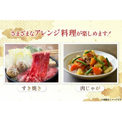 宮崎県産 黒毛和牛 赤身 スライス 切り落とし 250g 6p 計1.5kg セット(日向市)