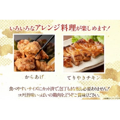 宮崎県産 若鶏 もも切身 300g 10p 計3kg セット(日向市)