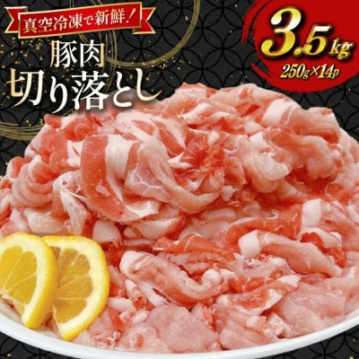 宮崎県産 豚肉 切り落とし 250g 14袋 計3.5kg セット(日向市)