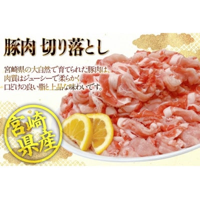 宮崎県産 豚肉 切り落とし 250g 14袋 計3.5kg セット(日向市)