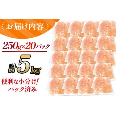 宮崎県産 若鶏ささみ 5kg セット(日向市)