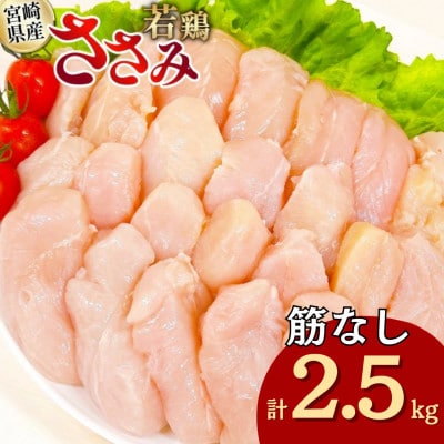 宮崎県産 筋なし 若鶏ささみ 2.5kg セット(日向市)