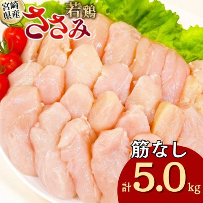 宮崎県産 筋なし 若鶏ささみ 5kg セット(日向市)