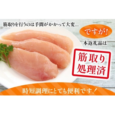 宮崎県産 筋なし 若鶏ささみ 5kg セット(日向市)