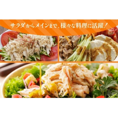 宮崎県産 筋なし 若鶏ささみ 5kg セット(日向市)