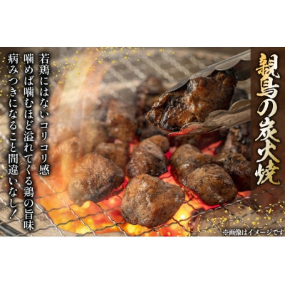 鶏 炭火焼き 柚子こしょう味 100g 6p