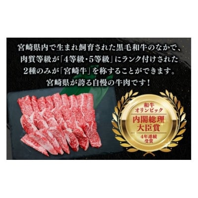 宮崎牛 カルビ 焼肉 500g×1p(日向市)