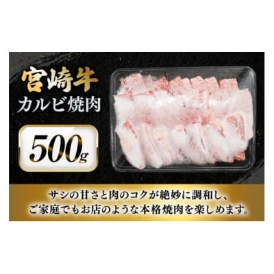 宮崎牛 カルビ 焼肉 500g×1p(日向市)
