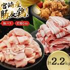 豚肉 鶏肉 詰め合わせ 宮崎県産 豚バラ&若鶏むね 切り身 計2.2kg(日向市)