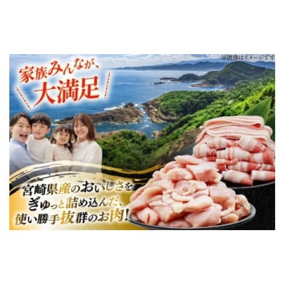 豚肉 鶏肉 詰め合わせ 宮崎県産 豚バラ&若鶏むね 切り身 計2.2kg(日向市)