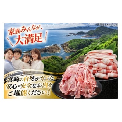 豚肉 小分け 宮崎県産 豚バラ&切り落とし 計1.6kg(日向市)