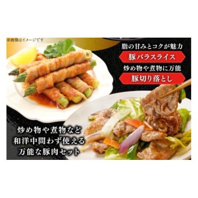 豚肉 小分け 宮崎県産 豚バラ&切り落とし 計1.6kg(日向市)