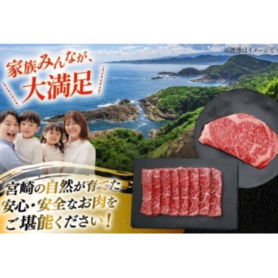 宮崎牛 サーロインステーキ 200g&赤身すき焼き肉 300g 計500g(日向市)