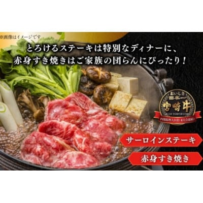 宮崎牛 サーロインステーキ 200g&赤身すき焼き肉 300g 計500g(日向市)