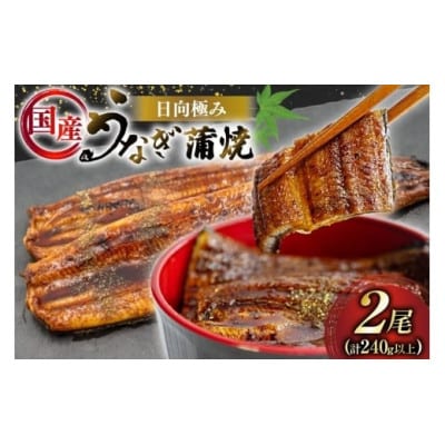 日向極みうなぎ蒲焼2尾(計約240g)