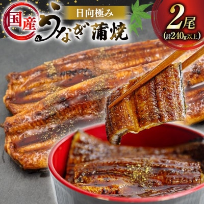 日向極みうなぎ蒲焼2尾(計約240g)