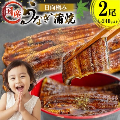 日向極みうなぎ蒲焼2尾(計240g以上)