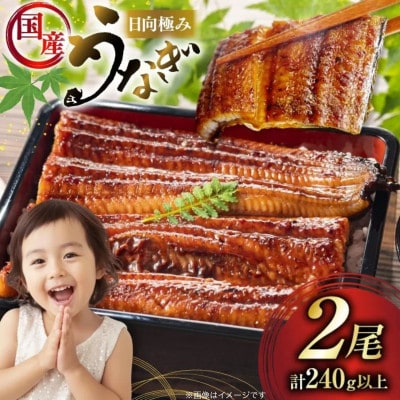 日向極みうなぎ蒲焼2尾(計240g以上)