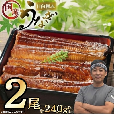 日向極みうなぎ蒲焼2尾(計240g以上)