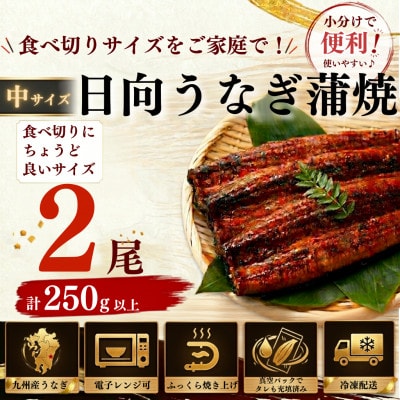 日向うなぎ蒲焼 中2尾(計250g以上)