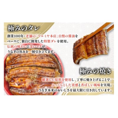 日向極みうなぎ蒲焼2尾(計約240g)