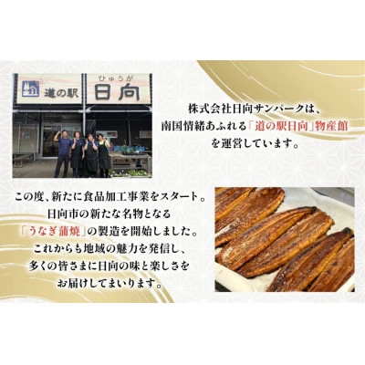 日向極みうなぎ蒲焼2尾(計約240g)