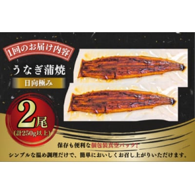日向極みうなぎ蒲焼2尾(計250g以上)