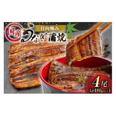 日向極みうなぎ蒲焼4尾(計約480g)