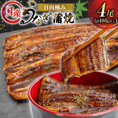 日向極みうなぎ蒲焼4尾(計約480g)