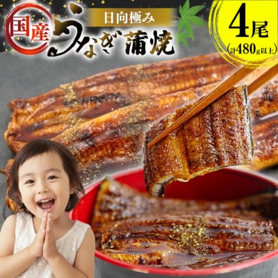 日向極みうなぎ蒲焼4尾(計480g以上)