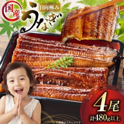 日向極みうなぎ蒲焼4尾(計480g以上)