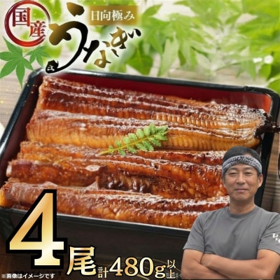 日向極みうなぎ蒲焼4尾(計480g以上)