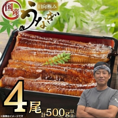 日向極みうなぎ蒲焼4尾(計500g以上)