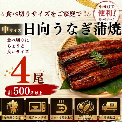 日向うなぎ蒲焼 中4尾(計500g以上)