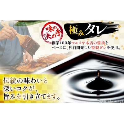 日向極みうなぎ蒲焼4尾(計480g以上)