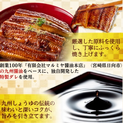 日向うなぎ蒲焼 中4尾(計500g以上)