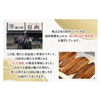 日向極みうなぎ蒲焼4尾(計約480g)