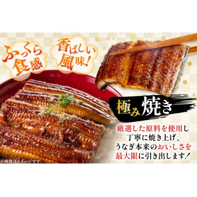 日向極みうなぎ蒲焼4尾(計480g以上)