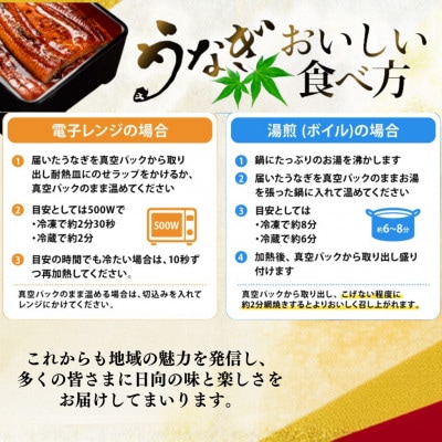 日向うなぎ蒲焼 中4尾(計500g以上)