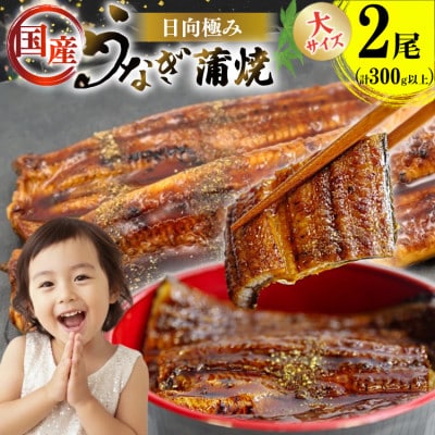日向極みうなぎ蒲焼2尾(計300g以上)