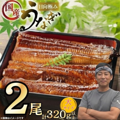 日向極みうなぎ蒲焼2尾(計320g以上)