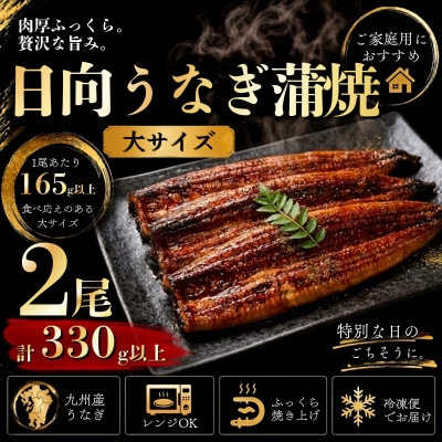 日向うなぎ蒲焼 大2尾(計330g以上)