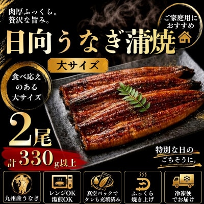 日向うなぎ蒲焼 大2尾(計330g以上)