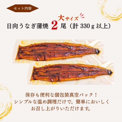 日向うなぎ蒲焼 大2尾(計330g以上)