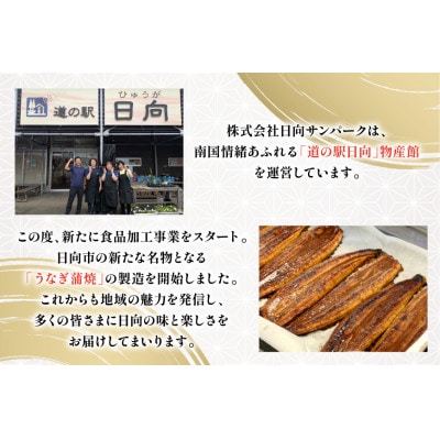 日向極みうなぎ蒲焼2尾(計約300g)