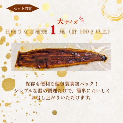 日向うなぎ蒲焼 大1尾(計160g以上)