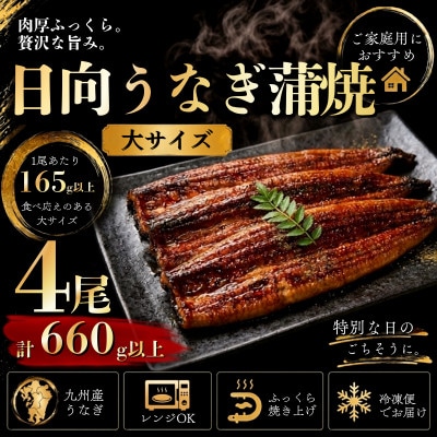 日向うなぎ蒲焼 大4尾(計660g以上)